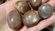 Sunstone Tumbled Wholesale -Wholesale Crystals