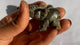 Pyrite Elephant Carved Animals Wholesale -Wholesale Crystals