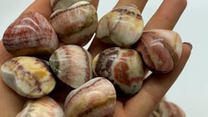 Dali Jasper Heart Wholesale -Wholesale Crystals