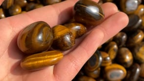 Yellow Tiger Eye Tumbled Wholesale -Wholesale Crystals