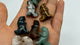 4 Types Dinosaur Tyrannosaurus Rex Carving Tiger Eye Moss Agate Wholesale -Wholesale Crystals