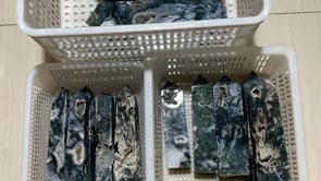 Big Moss Agate Points -Wholesale Crystals