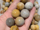 Natural Jade Coral Sphere Ball Wholesale -Wholesale Crystals