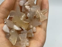 Sakura Agate Dragonfly Carving Wholesale -Wholesale Crystals