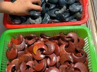 Moss Agate & Red Jasper Moon Carving Wholesale -Wholesale Crystals