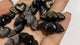Mini Gold & Silver Sheen Obsidian Heart Wing Carving Wholesale -Wholesale Crystals