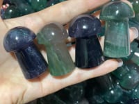 Fluorite Mushrooms Wholesale