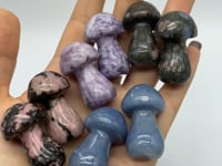 4 Types Mushroom Lepidolite & Rhodonite & Que Sera Wholesale -Wholesale Crystals