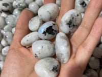 Natural Moonstone Tumbled Wholesale