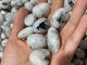 Natural Moonstone Tumbled Wholesale