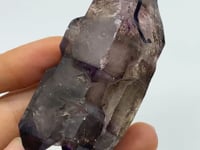 A05 Scepter Super7 Amethyst Enhydro Crystal