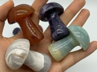 4Types Mushroom Lepidolite & Caribbean Carnelian Wholesale -Wholesale Crystals