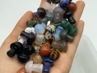 10 Types Mini Crystal Mushroom Wholesale