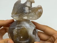 Sakura Flower Agate Eagle Skull Carving -Wholesale Crystals