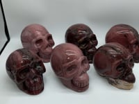 6 Pieces Large Petrified Wood Skull Carving -Wholesale Crystals