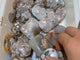 38Pieces High Quality Sakura Flower Agate Palm Stone