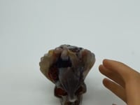Sakura Flower Agate Maya Feather Skull Carving -Wholesale Crystals