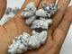 Mini Howlite Rabbit Carving Wholesale -Wholesale Crystals