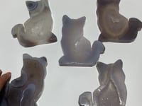 5 Pieces Geode Agate Druzy Cat Closeout