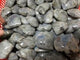 Normal Quality Labradorite Heart Wholesale