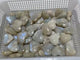 66 Pieces High Quality Moonstone Heart
