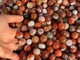 Carnelian Mixed Quartz Stripe Spheres Wholesale -Wholesale Crystals