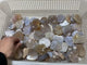 84 Pieces Sakura Flower Agate Heart