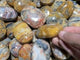 Crazy Agate Palm Wholesale -Wholesale Crystals