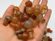 Carnelian Mini Mushroom Crystals Wholesale