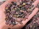 Raw Watermelon Tourmaline Colorful Gravel Chips Wholesale -Wholesale Crystals