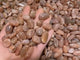 Sunstone Tumbled Wholesale -Wholesale Crystals