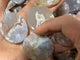 Sakura Flower Agate Oval Plate Wholesale -Wholesale Crystals