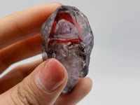 A28 Scepter Super7 Amethyst Enhydro Crystal