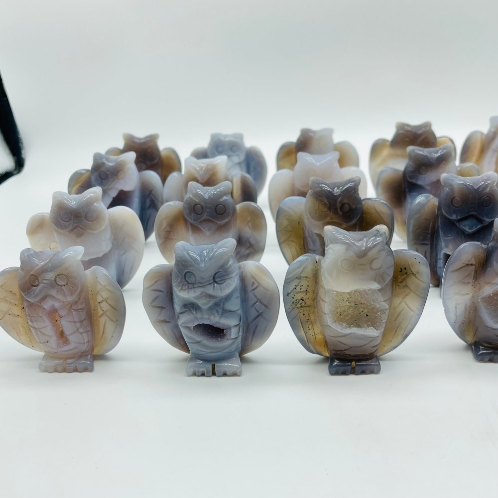 20 Pieces Geode Druzy Agate Owl Carving -Wholesale Crystals