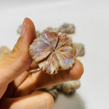 21 Pieces Beautiful Moonstone Mixed Sunstone Flower Carving -Wholesale Crystals