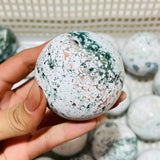 21 Pieces White Moss Agate Spheres -Wholesale Crystals