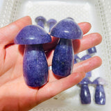 22 Pieces Lepidolite Mushrooms -Wholesale Crystals