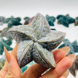29 Pieces Beautiful Ocean Jasper Starfish Carving -Wholesale Crystals