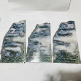 3 Pieces Large Beautiful Moss Agate Slab 17inch - Wholesale Crystals