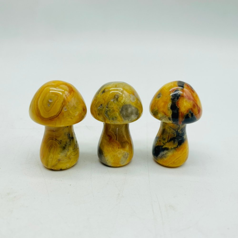 3 Types Mushroom Caribbean & Crazy Agate & Chevron Amethyst Wholesale -Wholesale Crystals