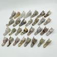 30 Pieces Sakura Agate Dragon Head Carving -Wholesale Crystals