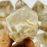 33 Pieces High Quality Rabbit Hair Rutilated Quartz Points -Wholesale Crystals