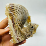 4 Pieces Cute Tangerine Orange Quartz Cluster Squirrel Carving -Wholesale Crystals