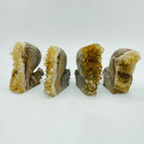 4 Pieces Cute Tangerine Orange Quartz Cluster Squirrel Carving -Wholesale Crystals