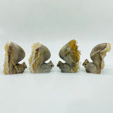 4 Pieces Cute Tangerine Orange Quartz Cluster Squirrel Carving -Wholesale Crystals