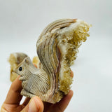 4 Pieces Cute Tangerine Orange Quartz Cluster Squirrel Carving -Wholesale Crystals