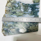 4 Pieces Large Moss Agate Slab 14.5in - Wholesale Crystals