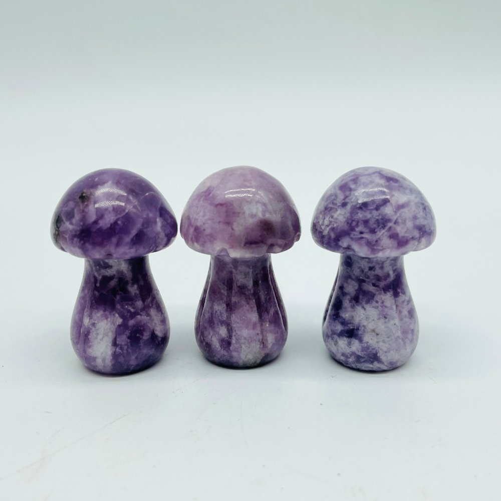 4 Types Mushroom Lepidolite & Rhodonite & Que Sera Wholesale -Wholesale Crystals