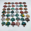 41 Pieces Colourful Ocean Jasper Sea Turtle Carving -Wholesale Crystals