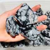 48 Pieces Polished Snowflake Obsidian Raw Free Form -Wholesale Crystals